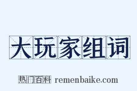 大玩家组词是什么意思的图片